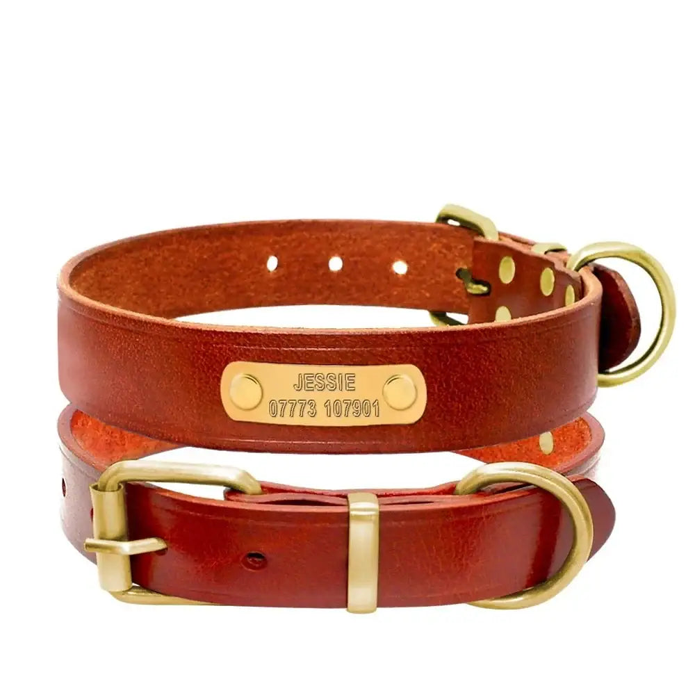 Leather dog collar with brass hardware and a personalized nameplate.