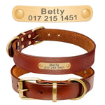 Thick Leather Dog Collars - Vignette | DoggyElite