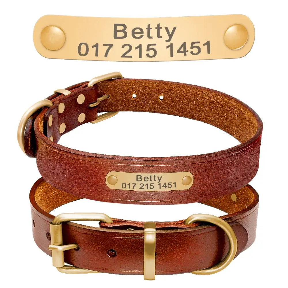 Leather dog collar with a personalized brass nameplate.