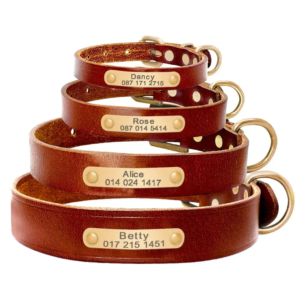 Set of brown leather dog collars with personalized name tags and phone numbers.