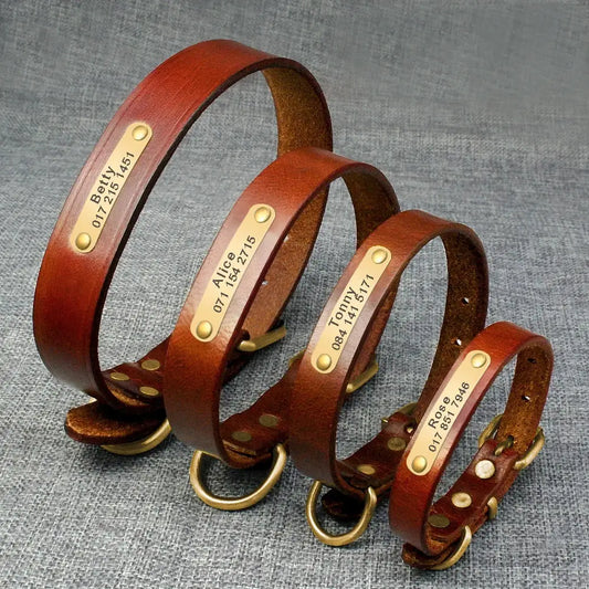 Set of leather dog collars with brass name plates.