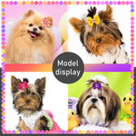 Tiny Dog Hair Bows - Vignette | DoggyElite