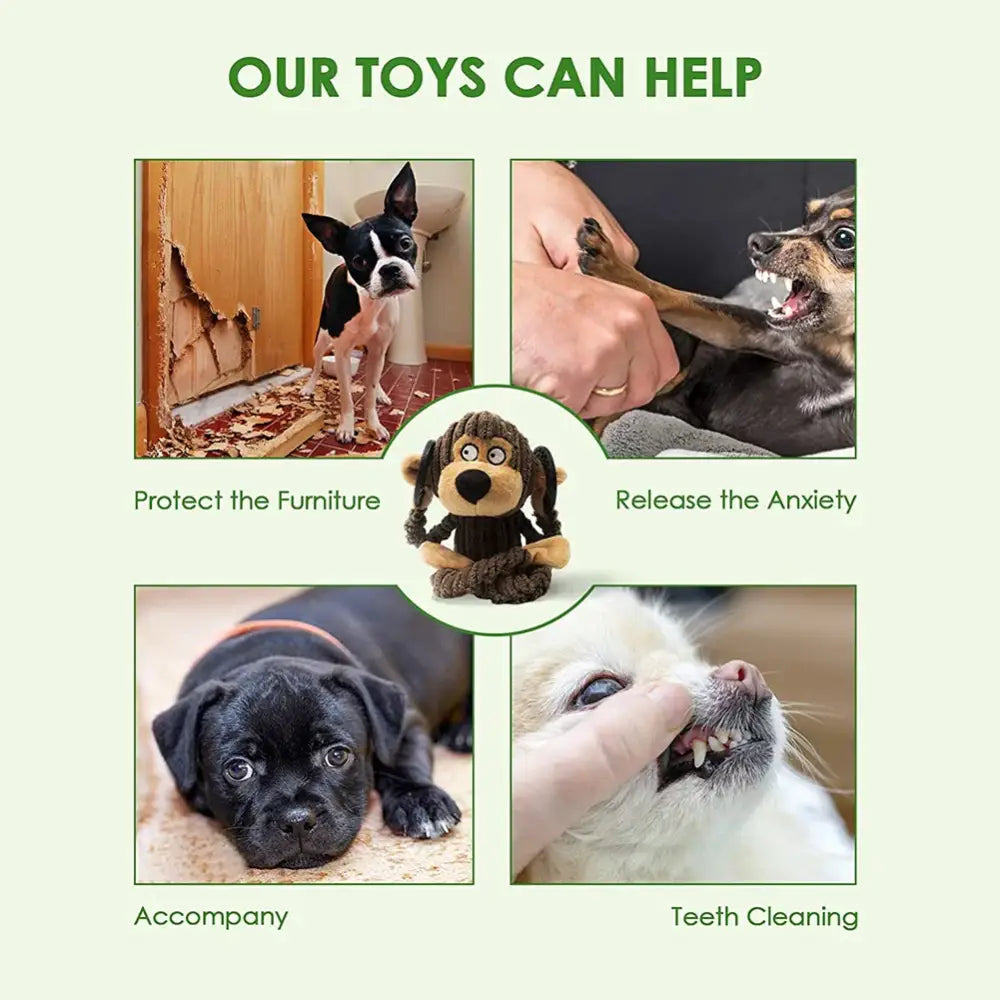 Collage of four pet-related photos surrounding a stuffed dog toy in the center.