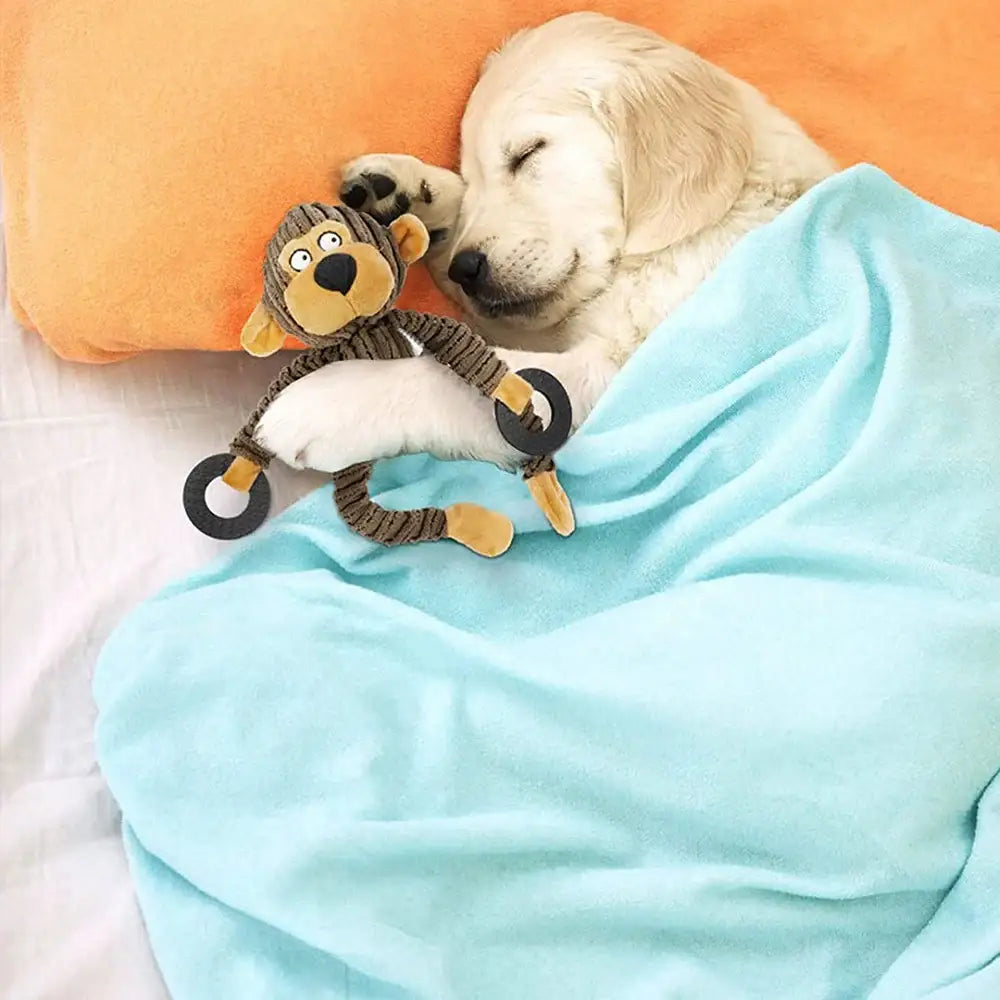 Sleeping white dog cuddling a stuffed monkey toy under a light blue blanket.