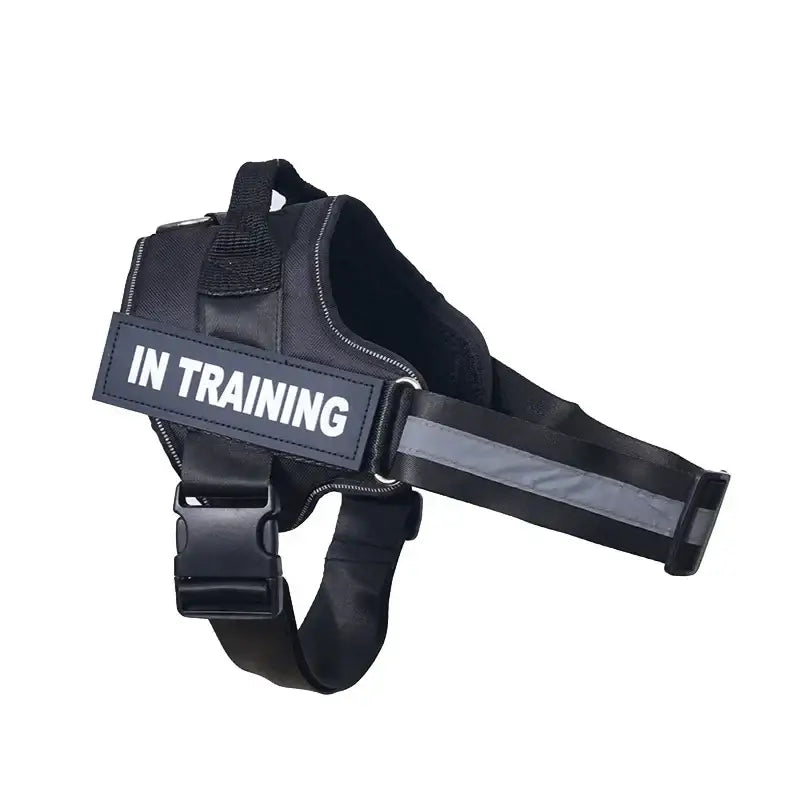 Black harness with ’IN TRAINING’ label for service dogs or working animals.