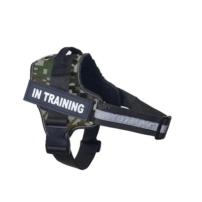 Dog harness with camouflage pattern and ’IN TRAINING’ label.