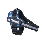 Training Dog Harness with Safety Strap - Vignette | DoggyElite