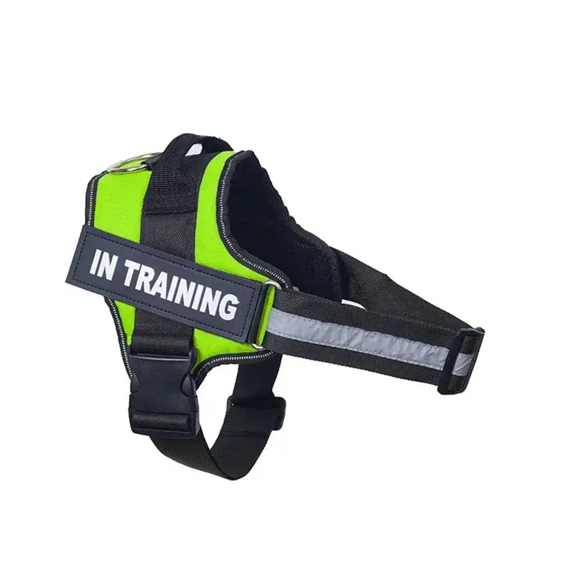 Dog harness with ’IN TRAINING’ label in bright green and black colors.