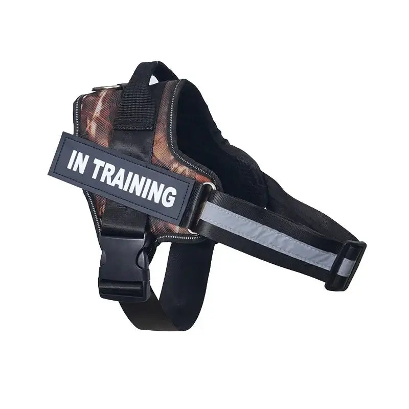 Dog harness with ’IN TRAINING’ label, featuring camouflage and black straps.