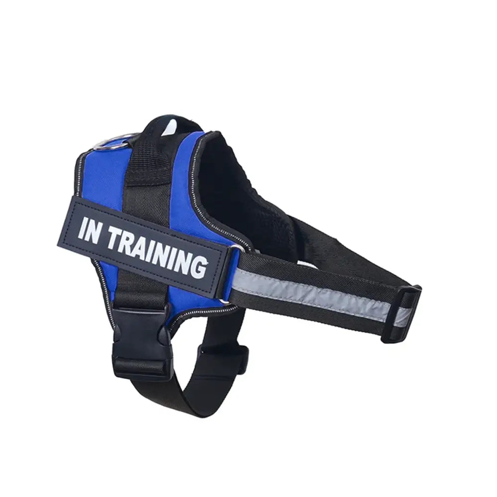 Dog harness with ’IN TRAINING’ label, colored blue and black.