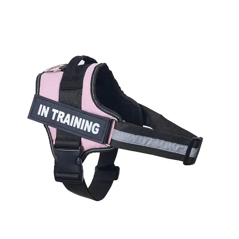 Pink and black dog harness with ’IN TRAINING’ label.