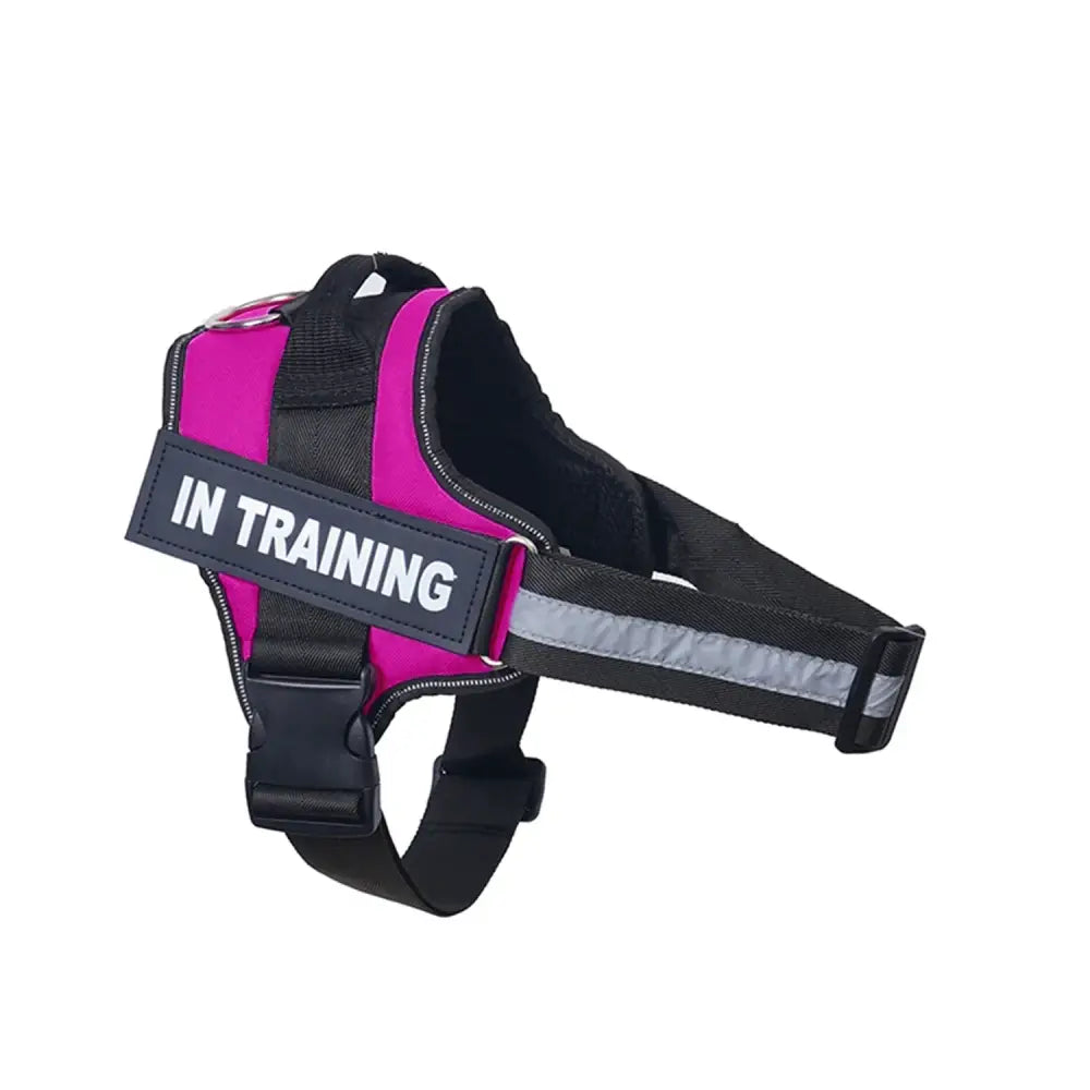 Pink and black dog harness with ’IN TRAINING’ label.