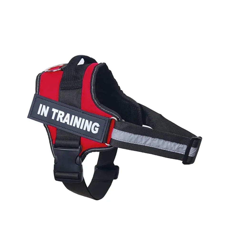 Red and black dog harness with ’IN TRAINING’ label.