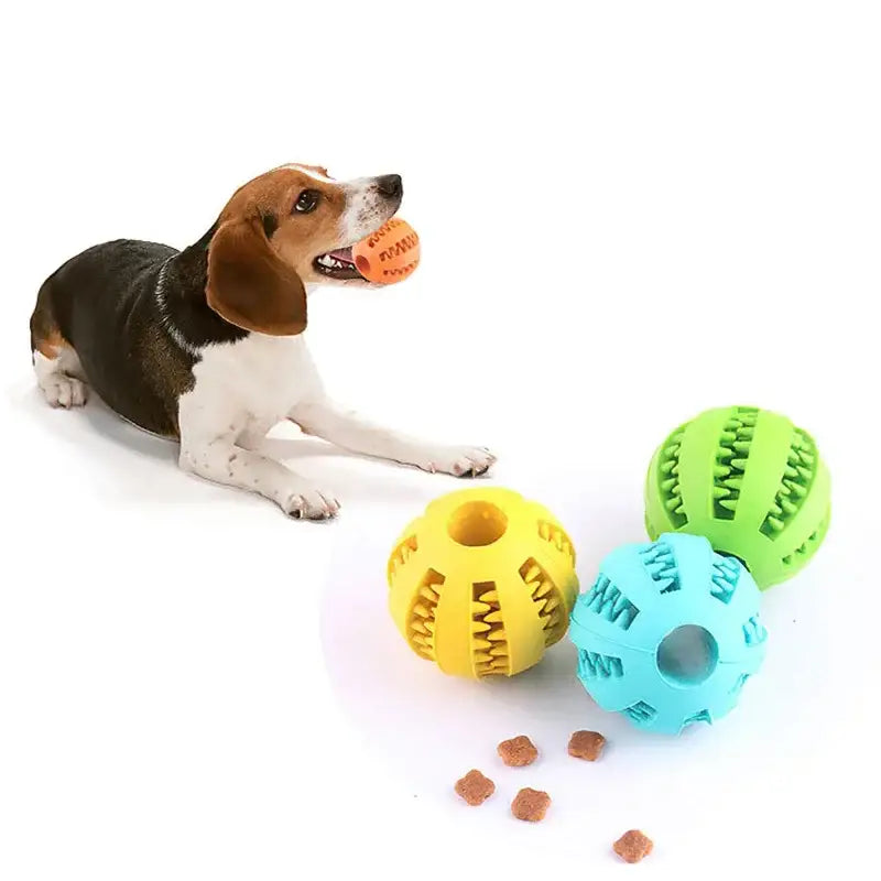 Beagle dog holding an orange toy ball in its mouth, with colorful rubber treat-dispensing toys nearby.