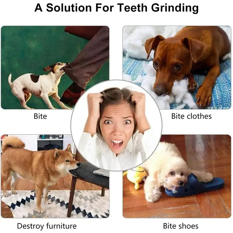 Humorous diagram showing various dog behaviors as solutions for teeth grinding in humans.