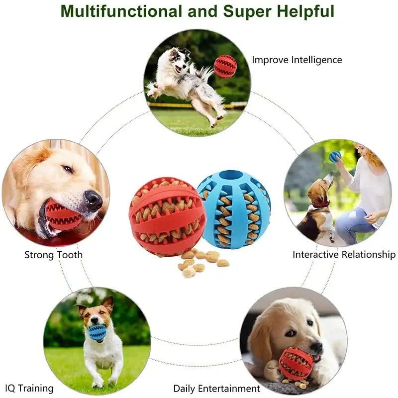 Set of dog toys and images showcasing various canine activities and benefits.