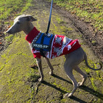 Ugly Dog Sweater - Vignette | DoggyElite