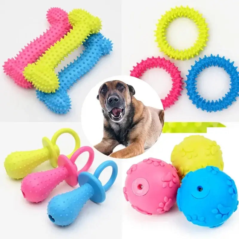 Dog surrounded by colorful rubber chew toys and teething rings.