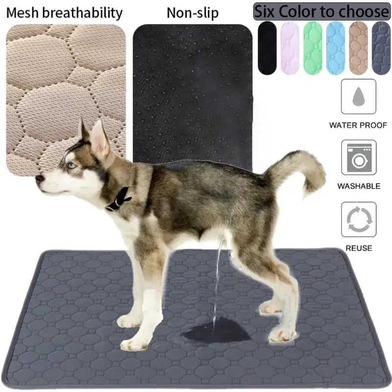 Dog mat with various features like mesh breathability, non-slip surface, and color options.