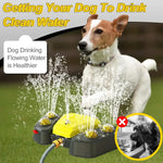 Water Toys For Dogs - Vignette | DoggyElite