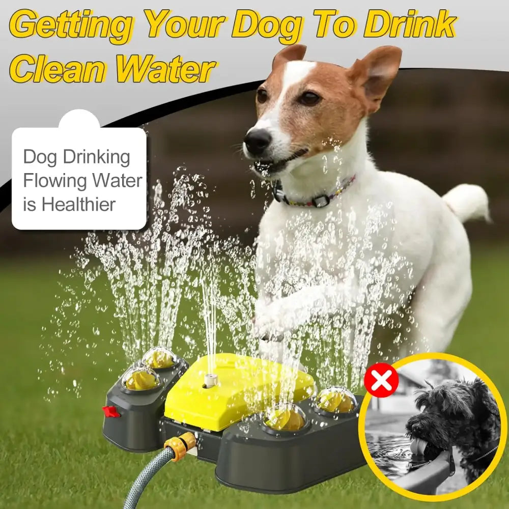 Dog fountain water dispenser with yellow and gray components spraying water upwards.