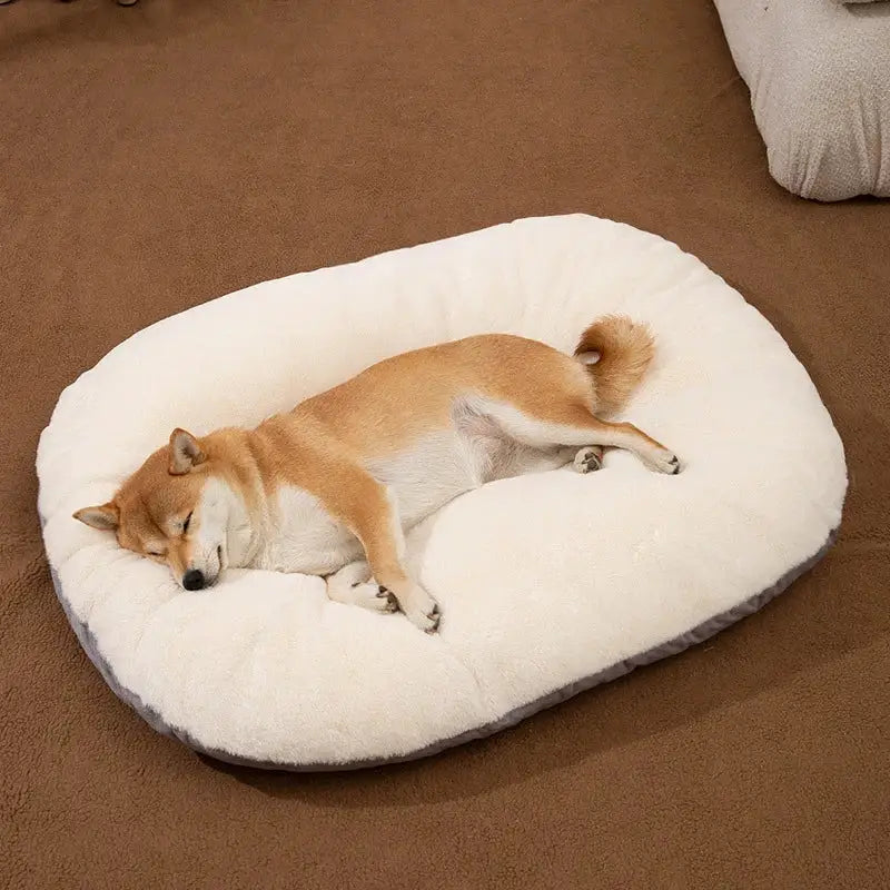 Sleeping Shiba Inu dog curled up on a white oval pet bed.