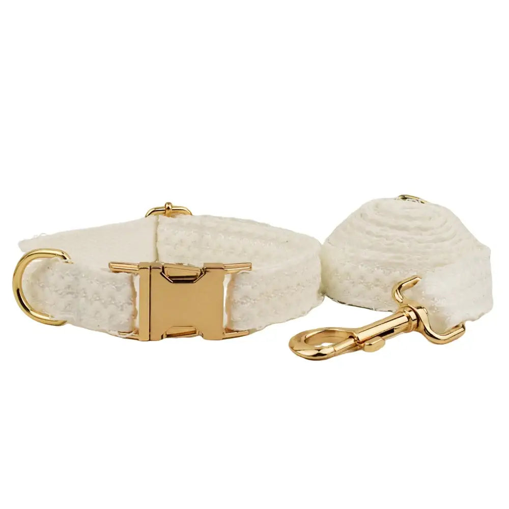 Dog collar and leash set in cream color with gold hardware.