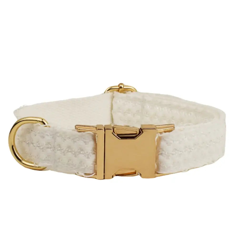 White fabric dog collar with gold-colored metal hardware and buckle.