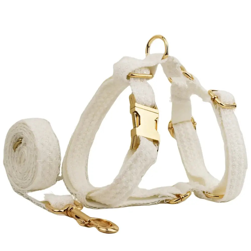 White fabric dog harness with gold-colored metal hardware and a matching leash.