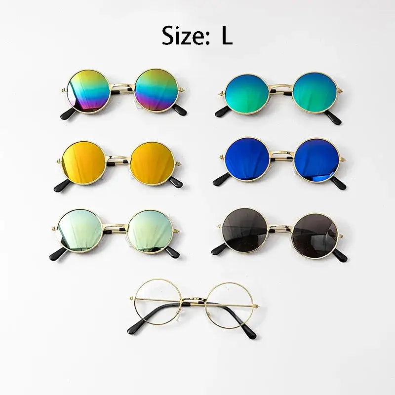 Collection of round-framed sunglasses and eyeglasses in various colors and lens types.