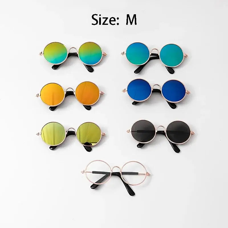 Collection of round sunglasses in various colorful lens tints.