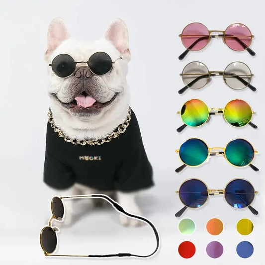 French Bulldog wearing sunglasses and a black shirt with a chain necklace.