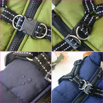 Winter Dog Coat With Harness - Vignette | DoggyElite