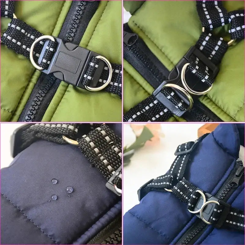 Dog harness with buckles and reflective straps.