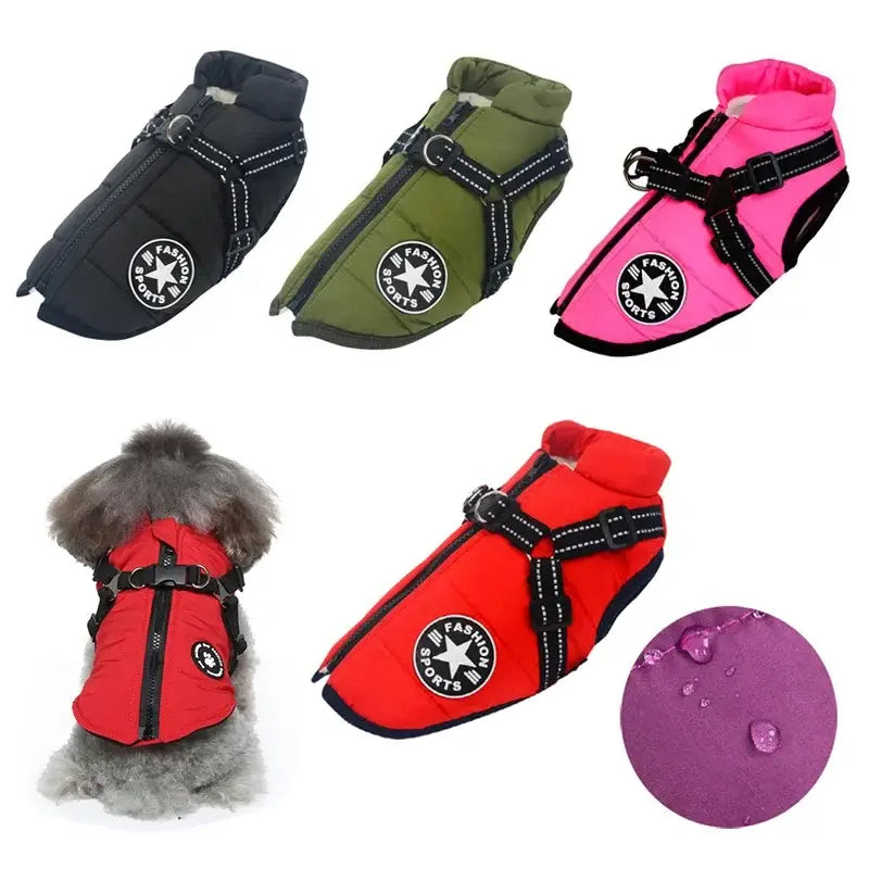 Dog raincoats or protective booties in various colors with a matching ball toy.