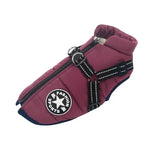 Winter Dog Coat With Harness - Vignette | DoggyElite