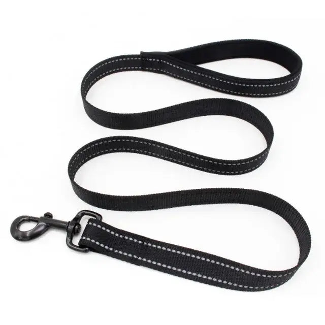 Black nylon dog leash with reflective stitching and a metal clip.