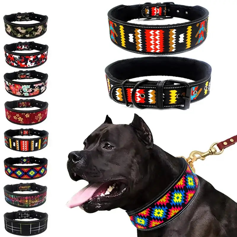 Colorful patterned dog collars with various designs and a black dog wearing one.