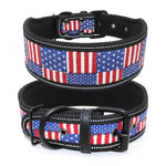 X Large Dog Collar - Vignette | DoggyElite