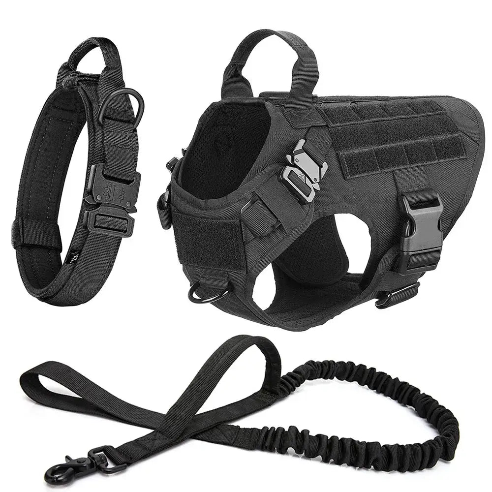 Tactical dog harness with accompanying collar and leash.