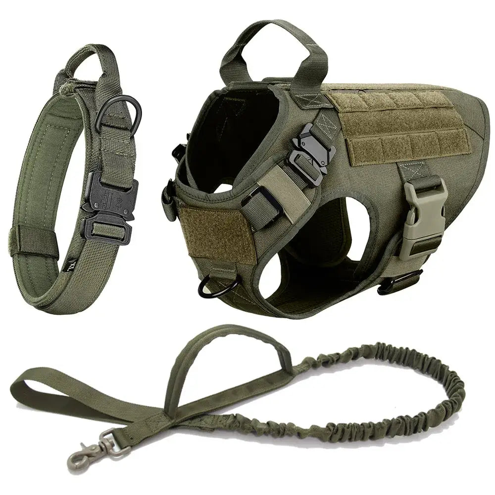 Tactical military-style dog harness with matching collar and leash.