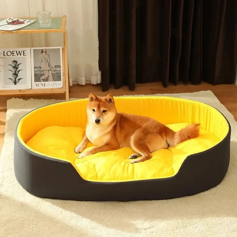 Dog lying in a bright yellow pet bed with a dark border.