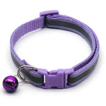 Xsmall Dog Collar - Vignette | DoggyElite