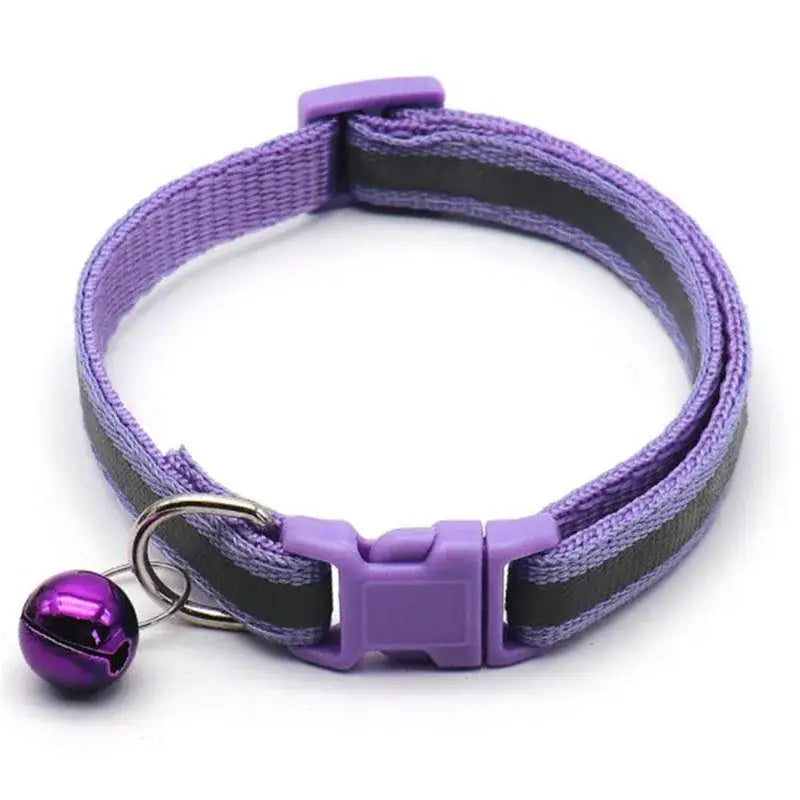 Purple and gray striped cat collar with a small purple bell attached.