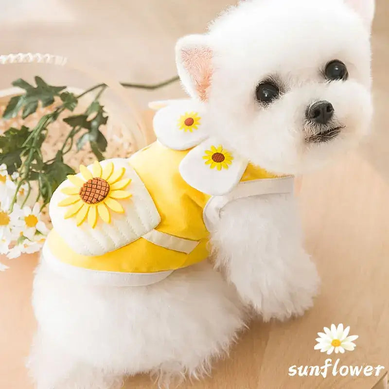 White fluffy dog wearing a yellow sunflower-themed outfit.