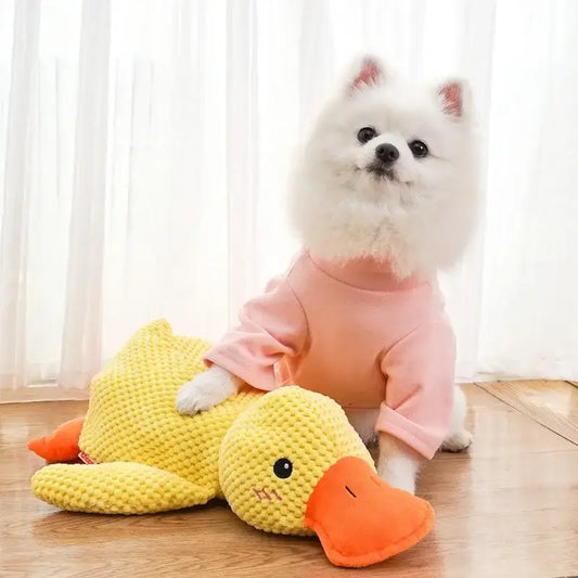 Fluffy white dog wearing a pink sweater next to a yellow plush duck toy.