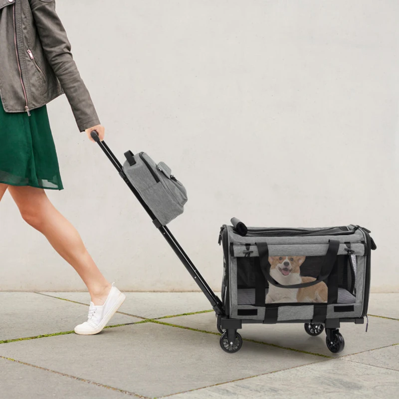 Ample storage capacity Multiple transport methods Dog strollers Ample storage capacity Multiple transport methods Dog strollers