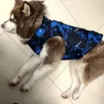 Winter Warm Pet Coat Jacket for Medium Large Dogs Waterproof - Image 3